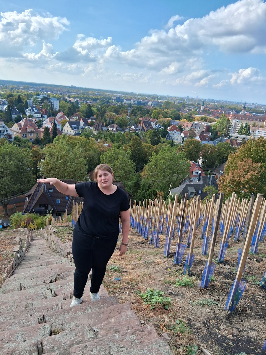 Sommelière Jennifer Wingerter führt durch die Weinberge des Staatsweinguts und erklärt die „Einzelpfahlerziehung“, die aber kaum Eingang in unseren Schulalltag finden wird… Image